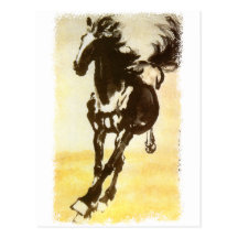 Caballo negro postal