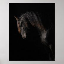 Caballo negro posters