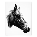 Caballo negro y blanco del arte pop comunicado personalizado