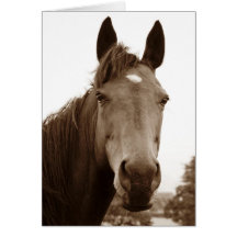 Caballo noble tarjetón