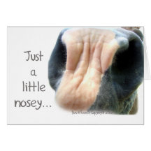 Caballo Nosey Tarjetón