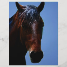 Caballo para Lucy Tarjeta Publicitaria