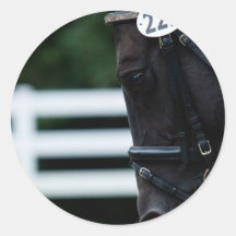 Caballo Pegatina