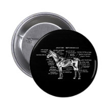 Caballo Pins