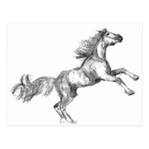 Caballo Postal