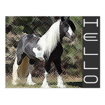 CABALLO POSTAL