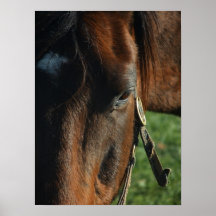 Caballo Posters