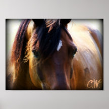 caballo poster