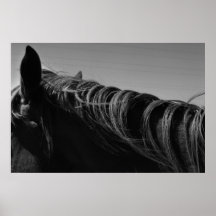 Caballo Impresiones