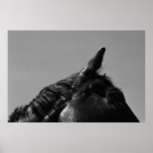 Caballo Impresiones