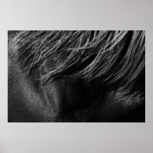 Caballo Poster