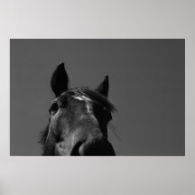 Caballo Impresiones