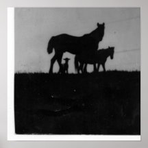 Caballo/potro/cordero en el ocaso poster