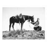 Caballo que come de un sombrero de vaquero postales