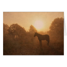 Caballo que duerme en niebla en la salida del sol tarjetas