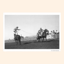 Caballo Roping posters