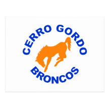 Caballo salvaje de Cerro Gordo Tarjetas Postales
