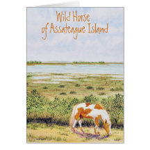 Caballo salvaje de la isla de Assateague Tarjeta