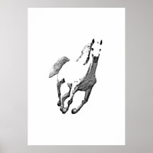 Caballo salvaje posters