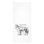 Caballo Tarjetas Publicitarias A Todo Color