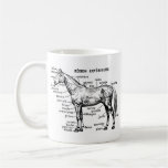 Caballo Taza