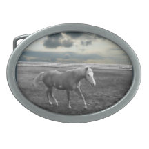 Caballo tempestuoso hebilla de cinturón