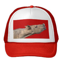 Caballo tonto gorras de camionero