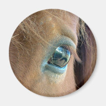 Caballo Vision Iman De Frigorífico
