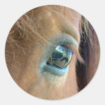 Caballo Vision Pegatinas Redondas