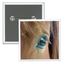 Caballo Vision Pins