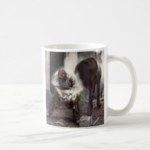 caballo y herrador tazas