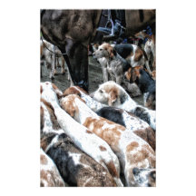 Caballo y perro papelería