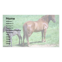 Caballo y potro plantilla de tarjeta personal