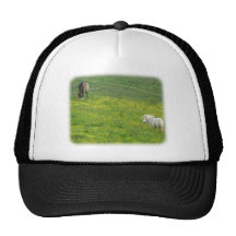 Caballos 8W53D-06 Gorros