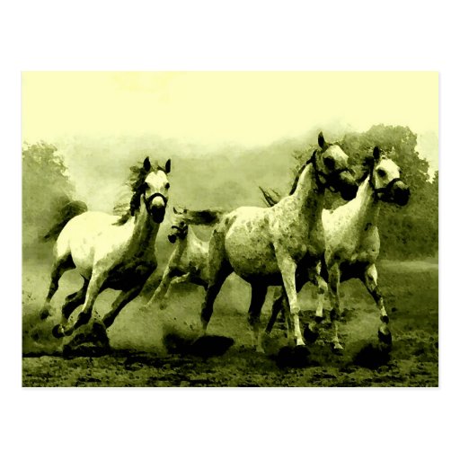 Caballos corrientes tarjetas postales