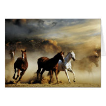 Caballos corrientes tarjetón