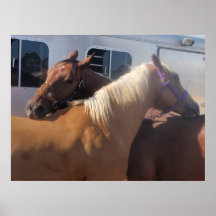 Caballos de nuevo a la parte posterior