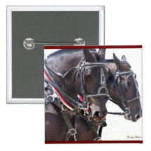 Caballos de Percheron Pin