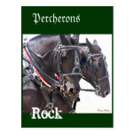 Caballos de Percheron Postales