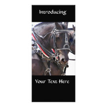 Caballos de Percheron Tarjetas Publicitarias A Todo Color