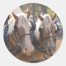 Caballos de proyecto etiqueta redonda