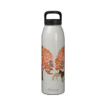 Caballos del otoño del naranja y de Brown Botellas De Agua Reutilizables