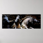Caballos del poster de Florencia II