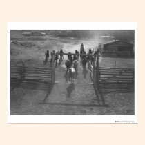 Caballos en el corral posters