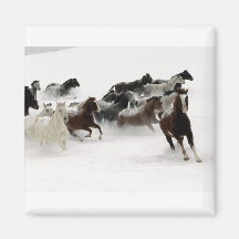 Caballos en la nieve imanes de nevera