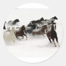 Caballos en la nieve pegatinas redondas