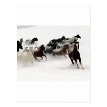 Caballos en la nieve postal