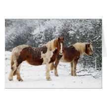 Caballos Felicitación