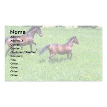 Caballos Plantillas De Tarjeta De Negocio