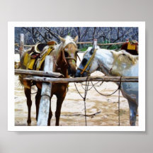 Caballos Poster